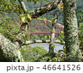 青蓮寺湖」 46641526