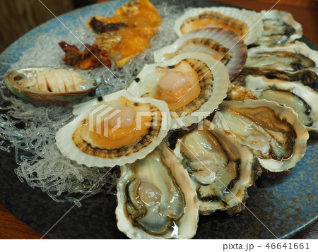 回 貝 魚 46641661
