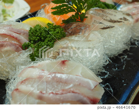 和食 魚 46641670