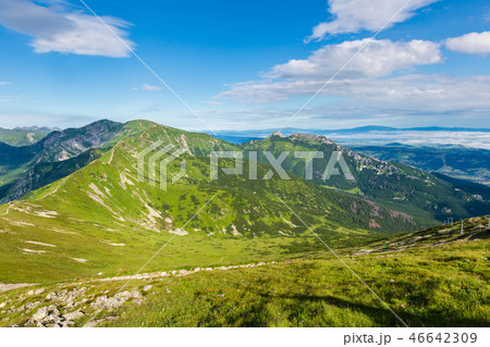 Summer Tatra Mountain, Poland 46642309