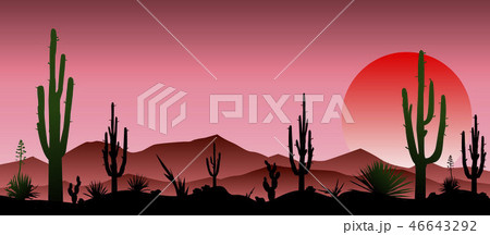 Red stony desert, cacti, sunset 46643292