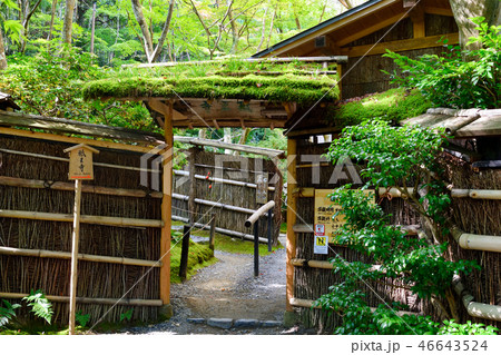 祇王寺(京都) 祇王寺(京都) 46643524