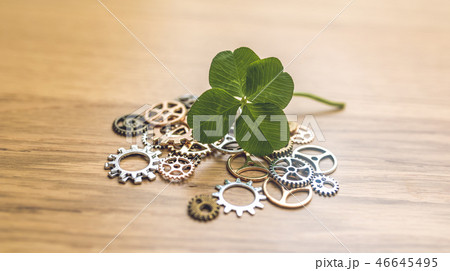 image photo image photo 46645495