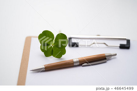 image photo 46645499