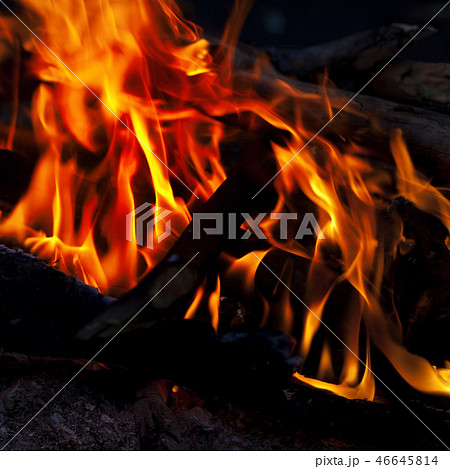 Campfire in camping at night Campfire in camping at night 46645814