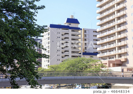 隅田川 46648334