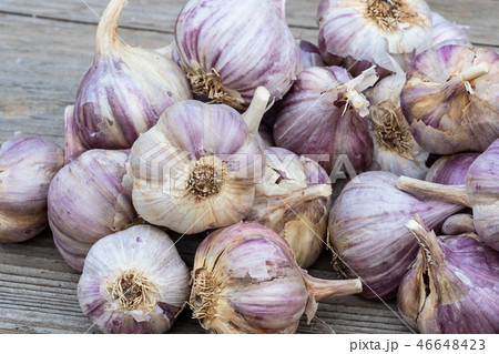 Garlic on wooden vintage background.  46648423