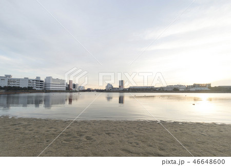 大森ふるさとの浜辺公園 大森ふるさとの浜辺公園 46648600