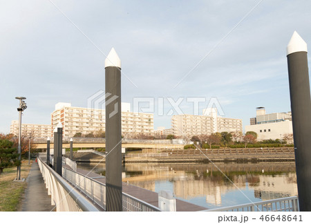 大森ふるさとの浜辺公園 大森ふるさとの浜辺公園 46648641