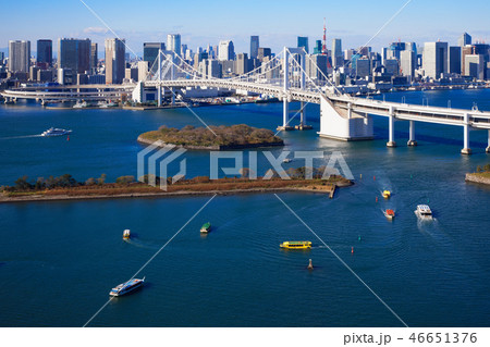 お台場海浜公園とレインボーブリッジ 東京タワー お台場海浜公園とレインボーブリッジ 東京タワー 46651376