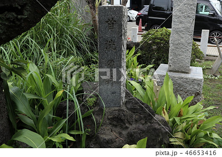 品川　鈴ヶ森刑場遺跡 46653416