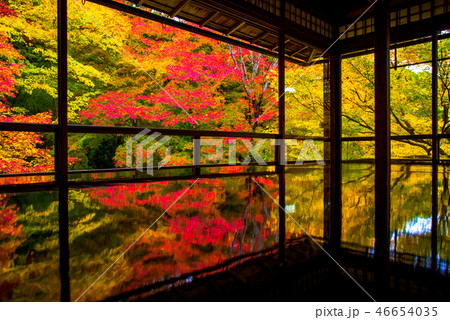 晩秋の瑠璃光院 46654035