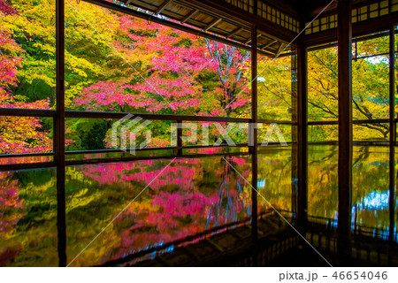晩秋の瑠璃光院 晩秋の瑠璃光院 46654046