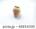 白いちご 46654395