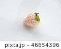 白いちご 46654396