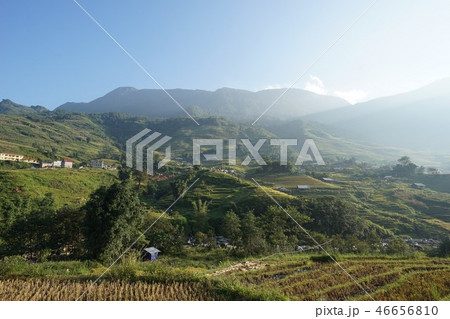 Rice terrace - Sapa (Vietnam) 46656810