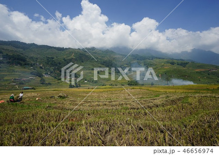Rice terrace - Sapa (Vietnam) 46656974