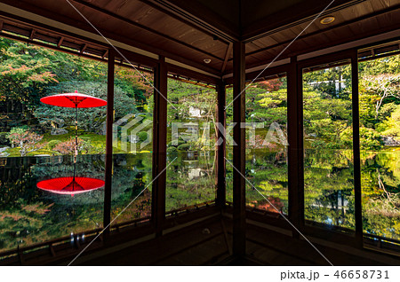 秋の旧竹林院 秋の旧竹林院 46658731
