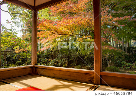 秋の宝泉院 46658794