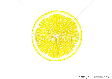 Lemon Cut Watercolor Stock Illustration