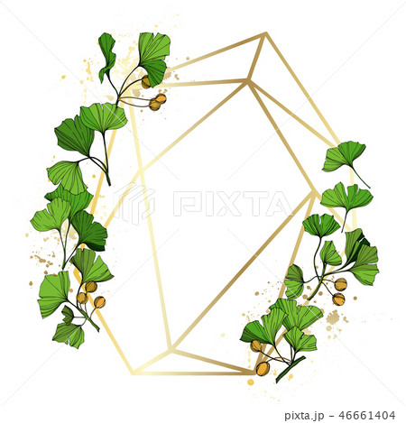 Vector Ginkgo green leaf. Engraved ink art. Frame border ornament square on white background. Vector Ginkgo green leaf. Engraved ink art. Frame border ornament square on white background. 46661404