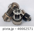 Vacuum tubes - old electronic components,  46662571