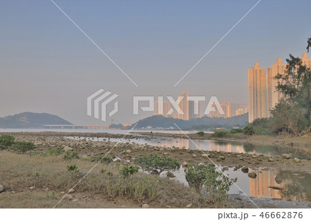 the wetland of Tung Chung bay hk the wetland of Tung Chung bay hk 46662876