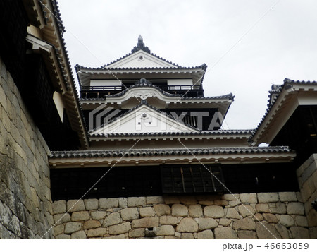 松山城　100名城 46663059