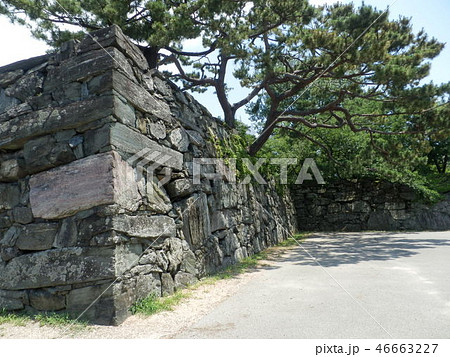 徳島城 100名城 徳島城 100名城 46663227