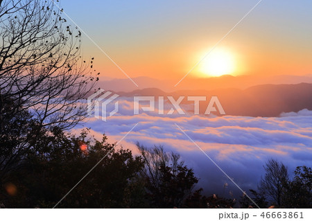 来日岳の雲海 46663861