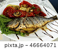 Fried fish with grilled tomatoes and lemon. Small depth of field 46664071