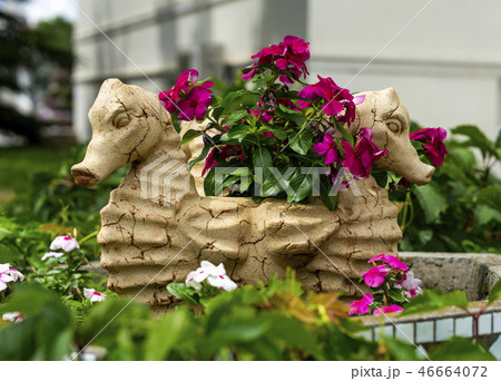 Vase with flowers in the form of seahorse Vase with flowers in the form of seahorse 46664072