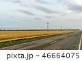 Road along edge of a wheaten field on the blue sky background 46664075