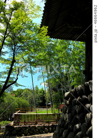 夏の修禅寺 46664962
