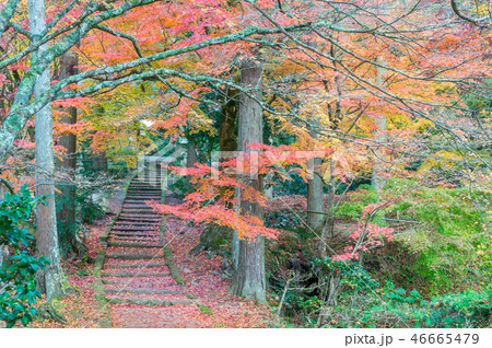 秋の龍穏寺 46665479