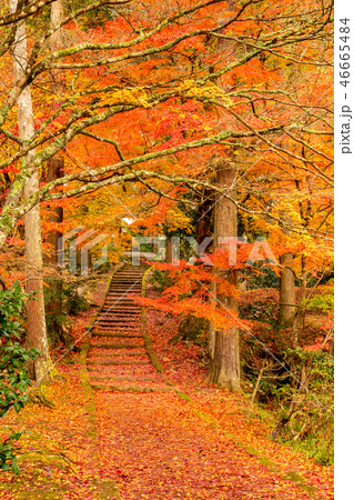 秋の龍穏寺 秋の龍穏寺 46665484
