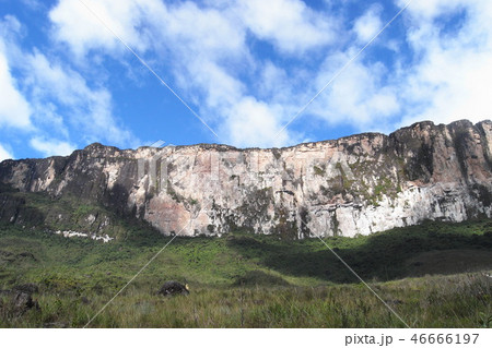 ギアナ高地・ロライマ山の壁 ギアナ高地・ロライマ山の壁 46666197