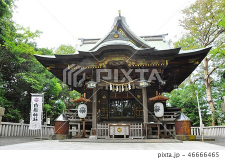 藤沢市の町並み　白旗神社本殿 46666465