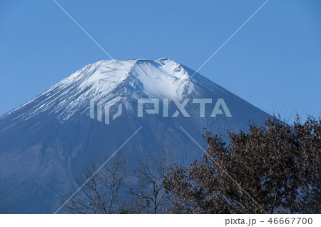 冠雪の富士山 冠雪の富士山 46667700