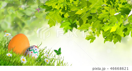 Easter Card with Eggs and Flowers 46668621