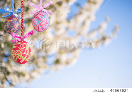 Holiday Easter Background 46668624