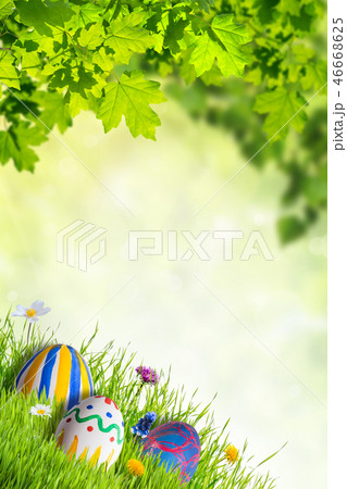 Holiday Easter Background 46668625