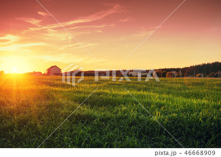 Rural landscape with beautiful evening sky 46668909