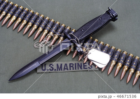 bayonet, dog tags on US MARINES uniform bayonet, dog tags on US MARINES uniform 46671536