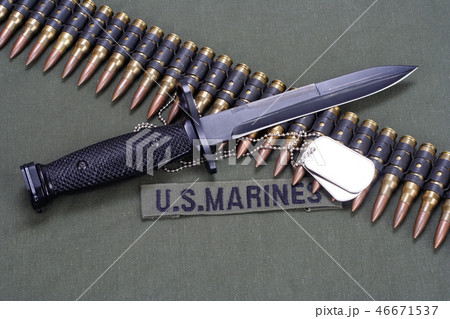 ammunition belt, dog tags on US MARINES uniform ammunition belt, dog tags on US MARINES uniform 46671537