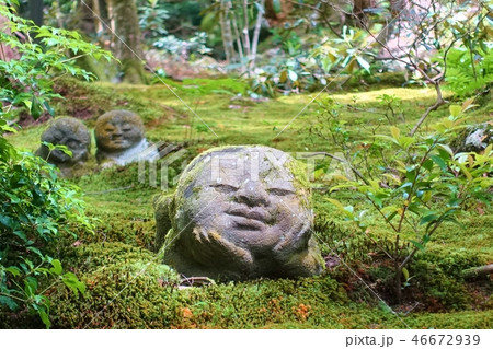 三千院のわらべ地蔵 三千院のわらべ地蔵 46672939