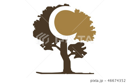 Tree Letter C 46674352