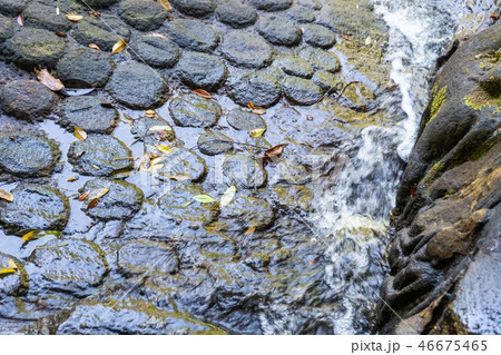 stone carvings in the river at Kbal Spean stone carvings in the river at Kbal Spean 46675465