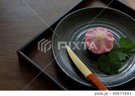 桜　練り切り　和菓子／Japanese confectionery 46675681