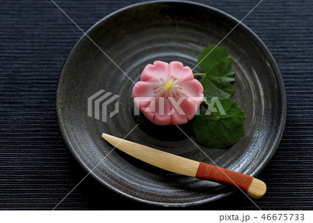 桜　練り切り　和菓子／Japanese confectionery 46675733
